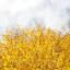 FREE NATURE STOCK