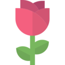 花语大全