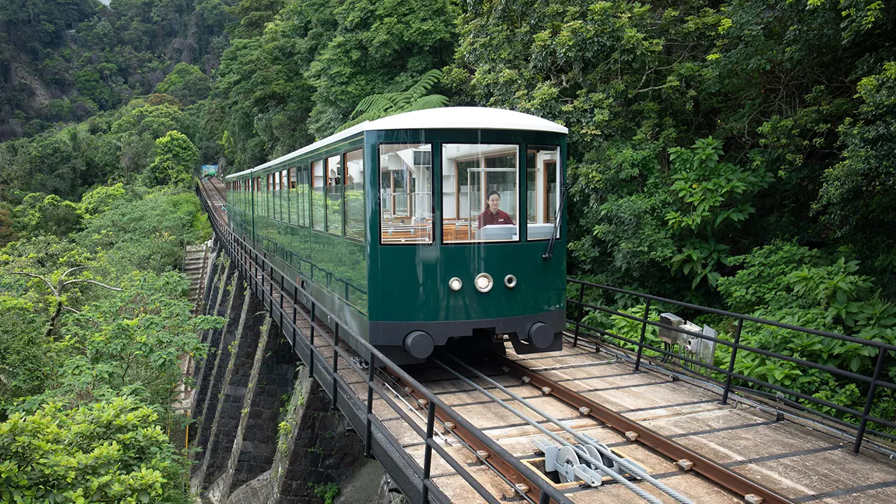 太平山顶